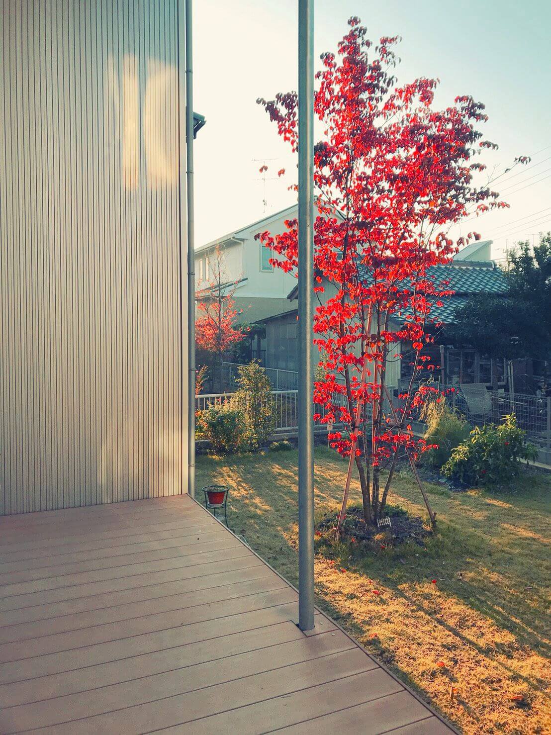 春も秋も美しい シンボルツリーは ヤマボウシ がおすすめの理由 無印良品の家のブログ Annyの木の家