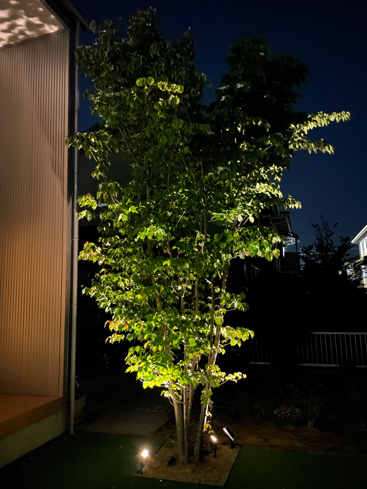 庭の木のヤマボウシをライトアップ Ledガーデンライトで夜も楽しめる庭に 無印良品の家のブログ Annyの木の家